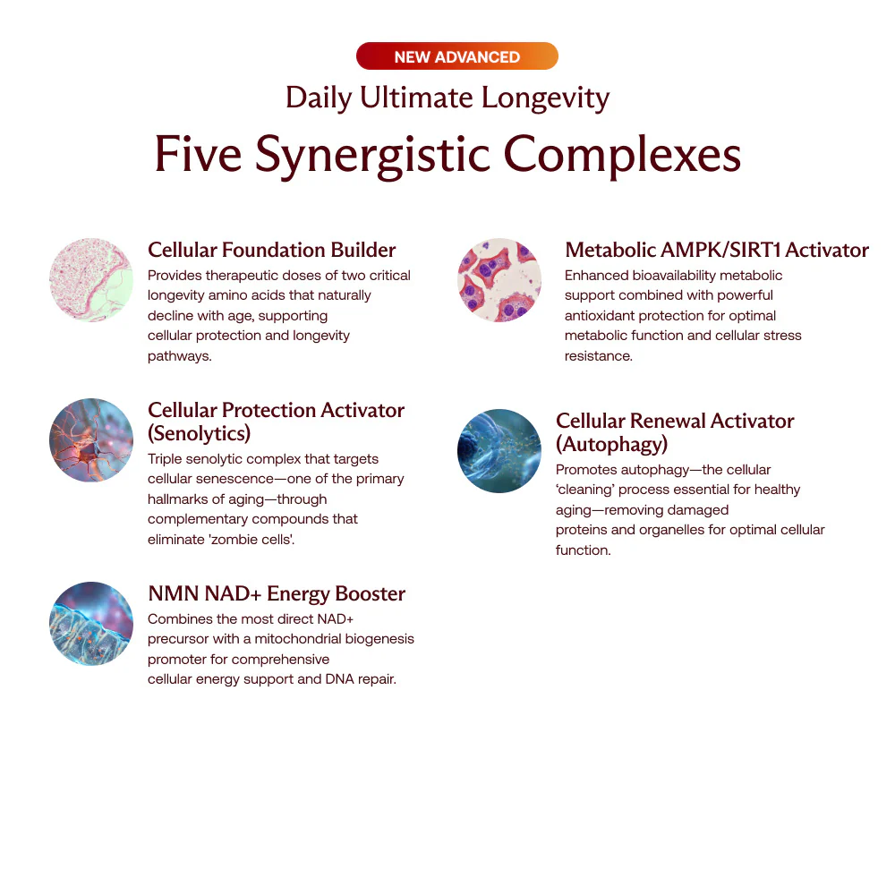 The Beckham Stack: Essentials Pro + Longevity Set - Image 13